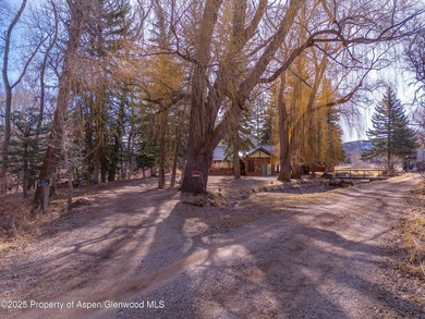 Opportunity to own a piece of Basalt's history with this mixed - photo 10