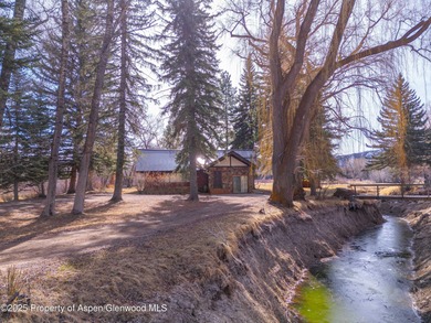 Opportunity to own a piece of Basalt's history with this mixed - photo 10