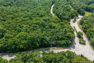 Surrounded by mature trees and natural Ozarks beauty, this - photo 1