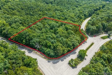 Surrounded by mature trees and natural Ozarks beauty, this - photo 2