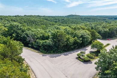 Surrounded by mature trees and natural Ozarks beauty, this - photo 4
