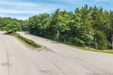 Surrounded by mature trees and natural Ozarks beauty, this - photo 5