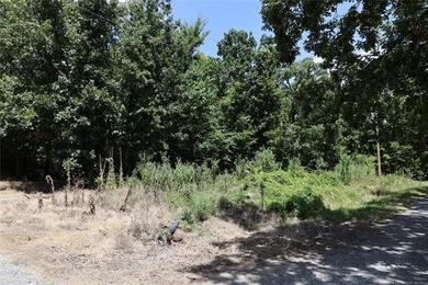 Situated approximately 0.3 miles from Whitehorn Cove at Fort - photo 11