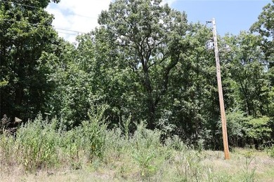Situated approximately 0.3 miles from Whitehorn Cove at Fort - photo 15