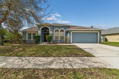 (private lake, pond, coastal) Home For Sale in Wesley Chapel Florida