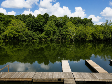Waterfront, dock, Rental ready in a great central location! - photo 27