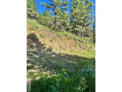 Perched high above Henry's Lake, this remarkable 13.44-acre - photo 5