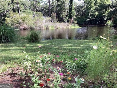 BLACK BANKS PLANTATION. Say goodbye to the *fear of overpaying* - photo 3