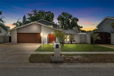 Lake Home Sale Pending in Tampa, Florida