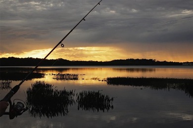 One or more photo(s) has been virtually staged. New Price - photo 47