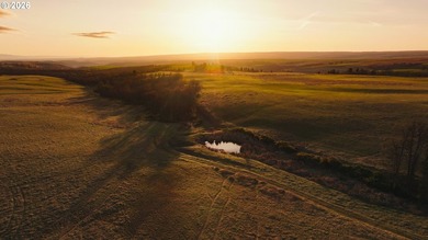 A once-in-a-generation opportunity to acquire one of Oregon's - photo 4