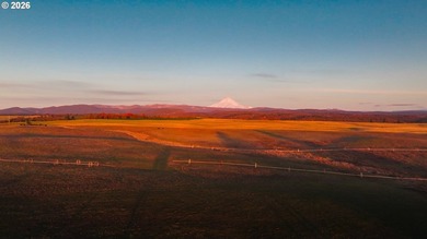 A once-in-a-generation opportunity to acquire one of Oregon's - photo 8