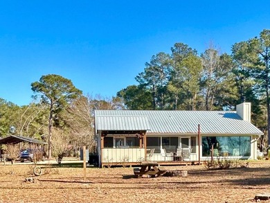 Extraordinary Lakefront Living on Lake Walter F. George! Welcome - photo 12