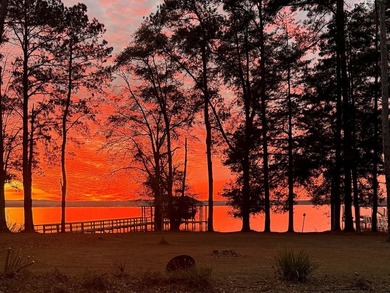 Extraordinary Lakefront Living on Lake Walter F. George! Welcome - photo 47