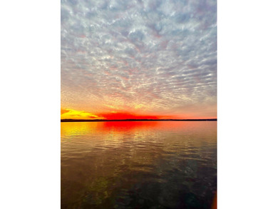Extraordinary Lakefront Living on Lake Walter F. George! Welcome - photo 50