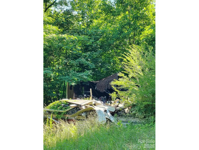 Almost a half-acre of land with a beautiful view of Mountain - photo 2