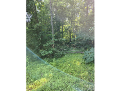 Almost a half-acre of land with a beautiful view of Mountain - photo 3