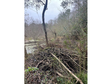 LOCATED IN WAYNE COUNTY, MISSISSIPPI, ROUGHLY NINE MILES - photo 11