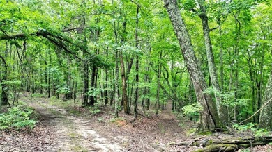 Beautiful 23.83 Acres of Wooded Land for Sale Discover your - photo 12