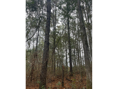 LOCATED IN WAYNE COUNTY, MISSISSIPPI, ROUGHLY NINE MILES - photo 12