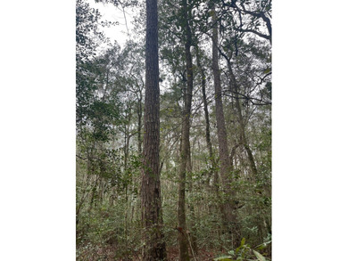 LOCATED IN WAYNE COUNTY, MISSISSIPPI, ROUGHLY NINE MILES - photo 16