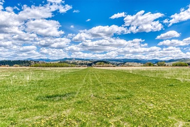 Welcome to one of the Bitterroot Valley's most extraordinary - photo 19
