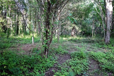 WITH 7+ ACRES YOU CAN BUILD WHAT YOU WANT WITH THE PRIVACY YOU - photo 1