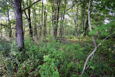 WITH 7+ ACRES YOU CAN BUILD WHAT YOU WANT WITH THE PRIVACY YOU - photo 2