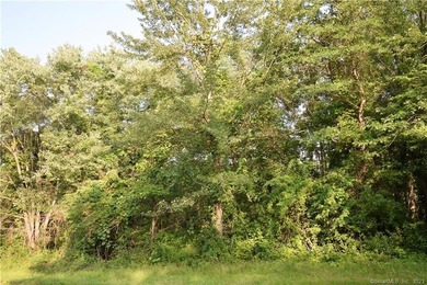 WITH 7+ ACRES YOU CAN BUILD WHAT YOU WANT WITH THE PRIVACY YOU - photo 6