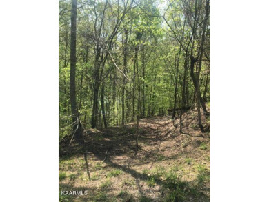 Norris Lake Lot For Sale in Washburn Tennessee