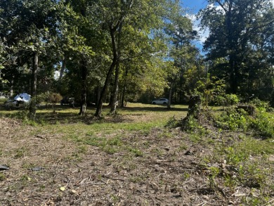 Lake Lot For Sale in Coldspring, Texas