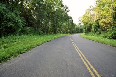 BEAUTIFUL LEVEL 4.5143 ACRES WITH FULL SURVEYS, PERC & DEEP HOLE - photo 1