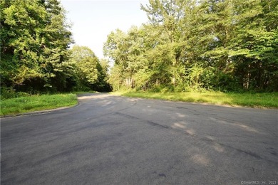 BEAUTIFUL LEVEL 4.5143 ACRES WITH FULL SURVEYS, PERC & DEEP HOLE - photo 3