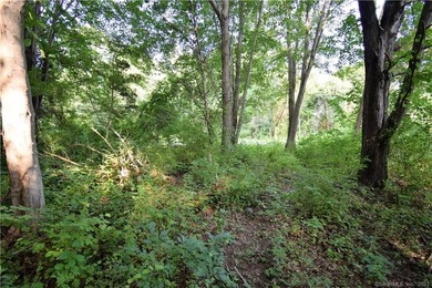 BEAUTIFUL LEVEL 4.5143 ACRES WITH FULL SURVEYS, PERC & DEEP HOLE - photo 4