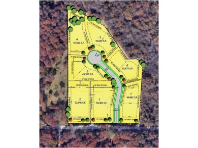 Lake Grapevine Lot For Sale in Southlake Texas