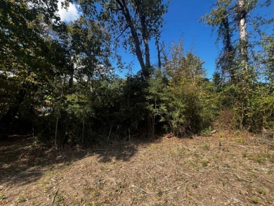 Creek Front Lot in River Oaks - photo 4
