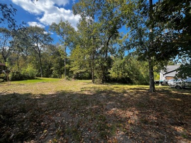 Creek Front Lot in River Oaks - photo 7
