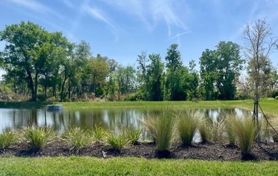 Wake up every morning to a shimmering pond and lush preserve - photo 2