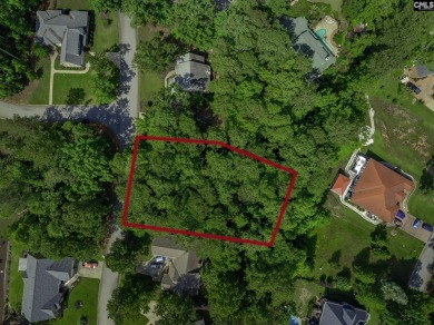 Don't miss this rare opportunity to own a .41-acre lot in the