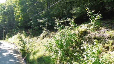 Welcome to Beech Mountain - Your Year-Round Mountain Getaway! - photo 6