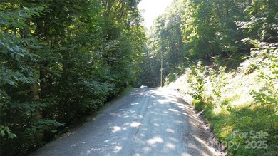 Welcome to Beech Mountain - Your Year-Round Mountain Getaway! - photo 7
