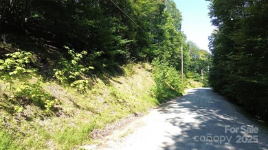 Welcome to Beech Mountain - Your Year-Round Mountain Getaway! - photo 8