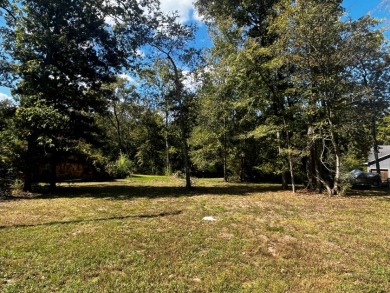 Creek Front Lot in River Oaks - photo 6