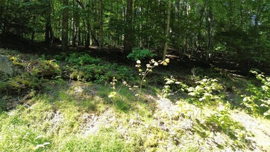 Welcome to Beech Mountain - Your Year-Round Mountain Getaway! - photo 9