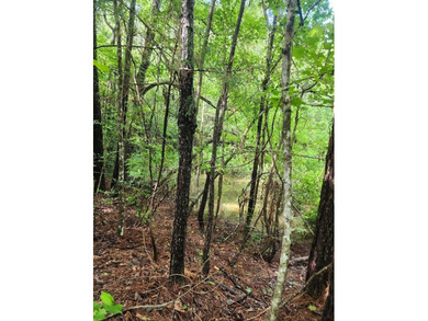 This is the perfect spot to build your new home, put a mobile - photo 2