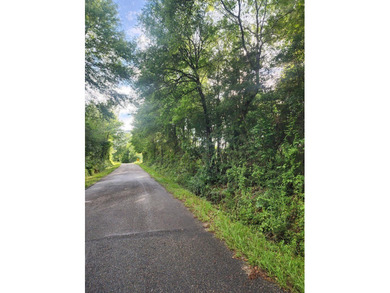 This is the perfect spot to build your new home, put a mobile - photo 3