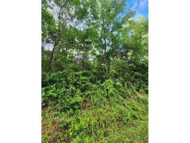 This is the perfect spot to build your new home, put a mobile - photo 4