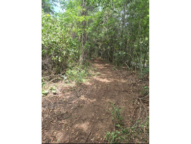 This is the perfect spot to build your new home, put a mobile - photo 5