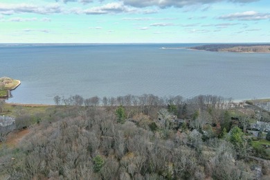 Rare and Remarkable Waterfront Offering on Centre Island An - photo 10