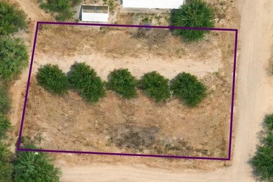 Lake Colorado City Lot Sale Pending in Colorado City Lake Texas